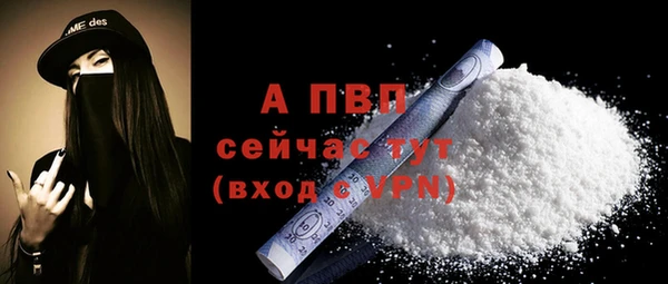 мдпв Инта