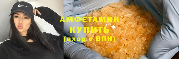 мдпв Инта