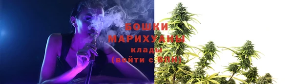 мдпв Инта