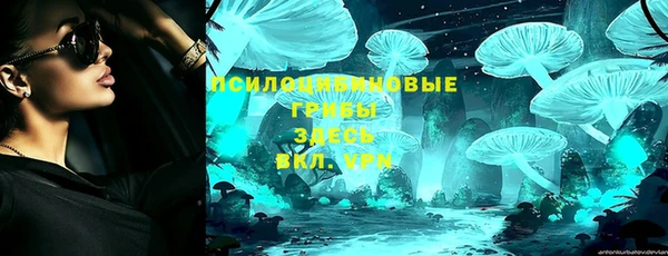 мдпв Инта