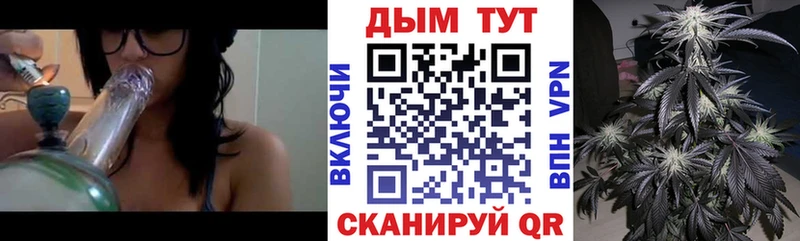 Канабис гибрид  Северск 